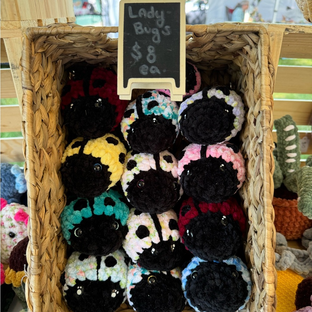 Crochet Ladybug